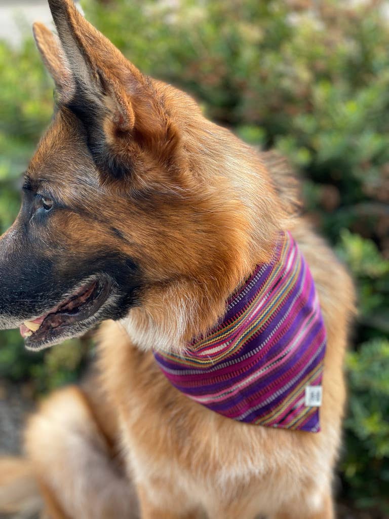 Sam & Nala | intentional style for pets & their people - Vendita all'ingrosso Bandana - Cani - Bandana per cani Lite & Bright tessuta a mano/commercio equo1