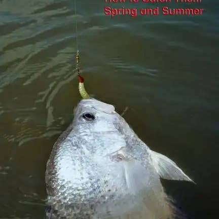 Books by splitShops - Wholesale Sports & Recreation - Crappie: How to Catch Them Spring and Summer - Paperback