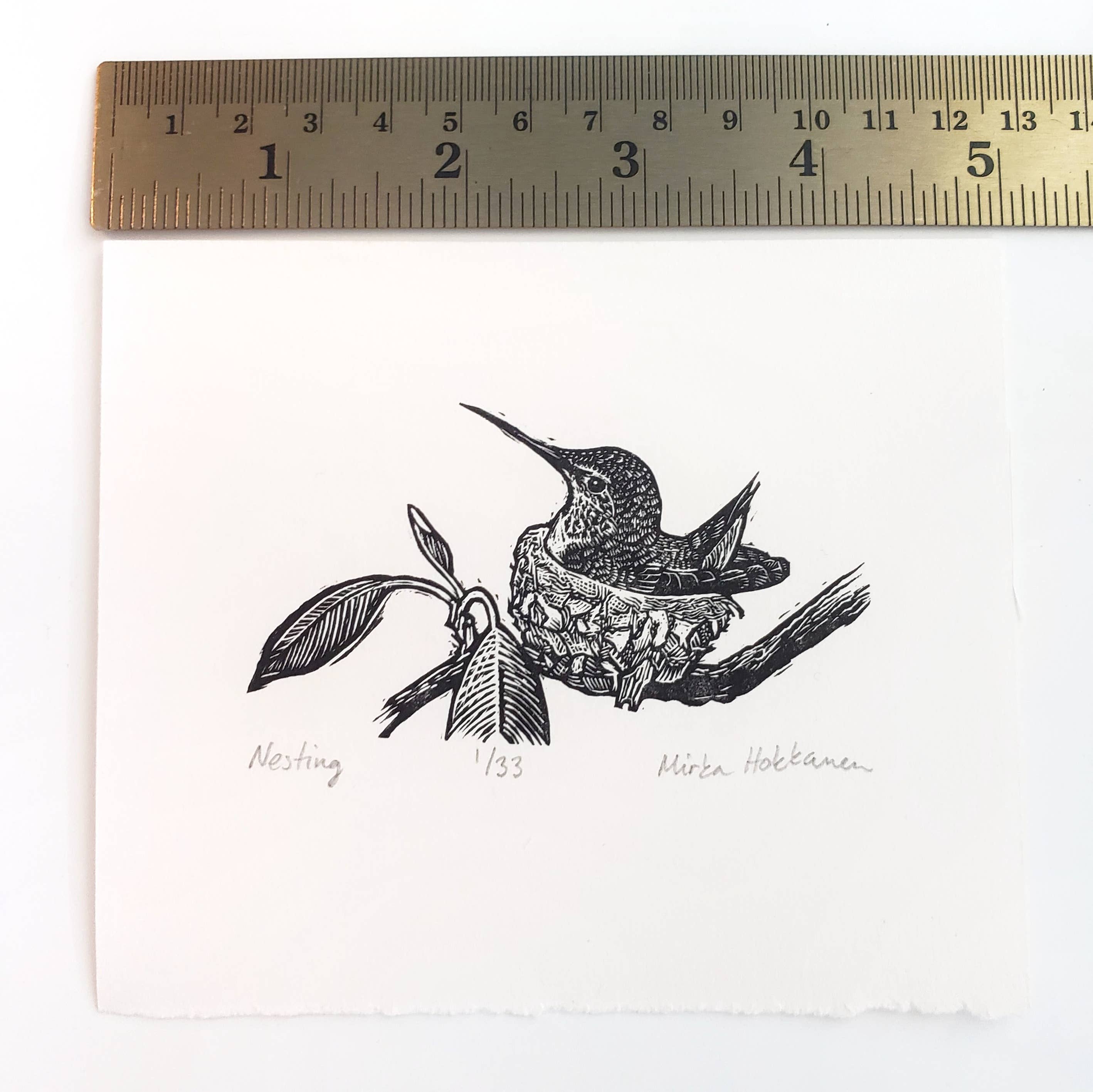 Mirka Hokkanen - Wholesale Art Print - Humming Bird Print1