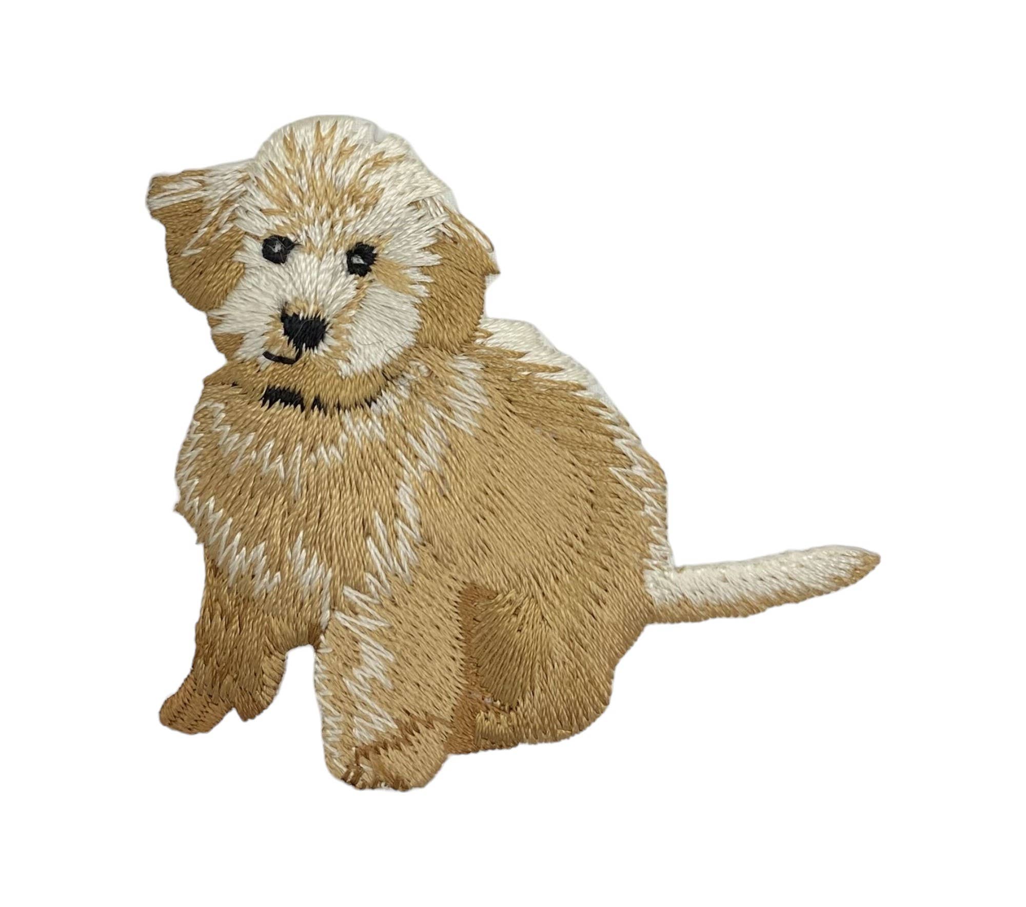 Wholesale Applique - Wholesale Patch - Golden Doodle, Dogs, Pets, Puppy, Iron on Patch
