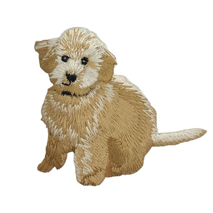 Golden Doodle, Perros, Mascotas, Cachorro, Parche termoadhesivo para venta al por mayor de Wholesale Applique