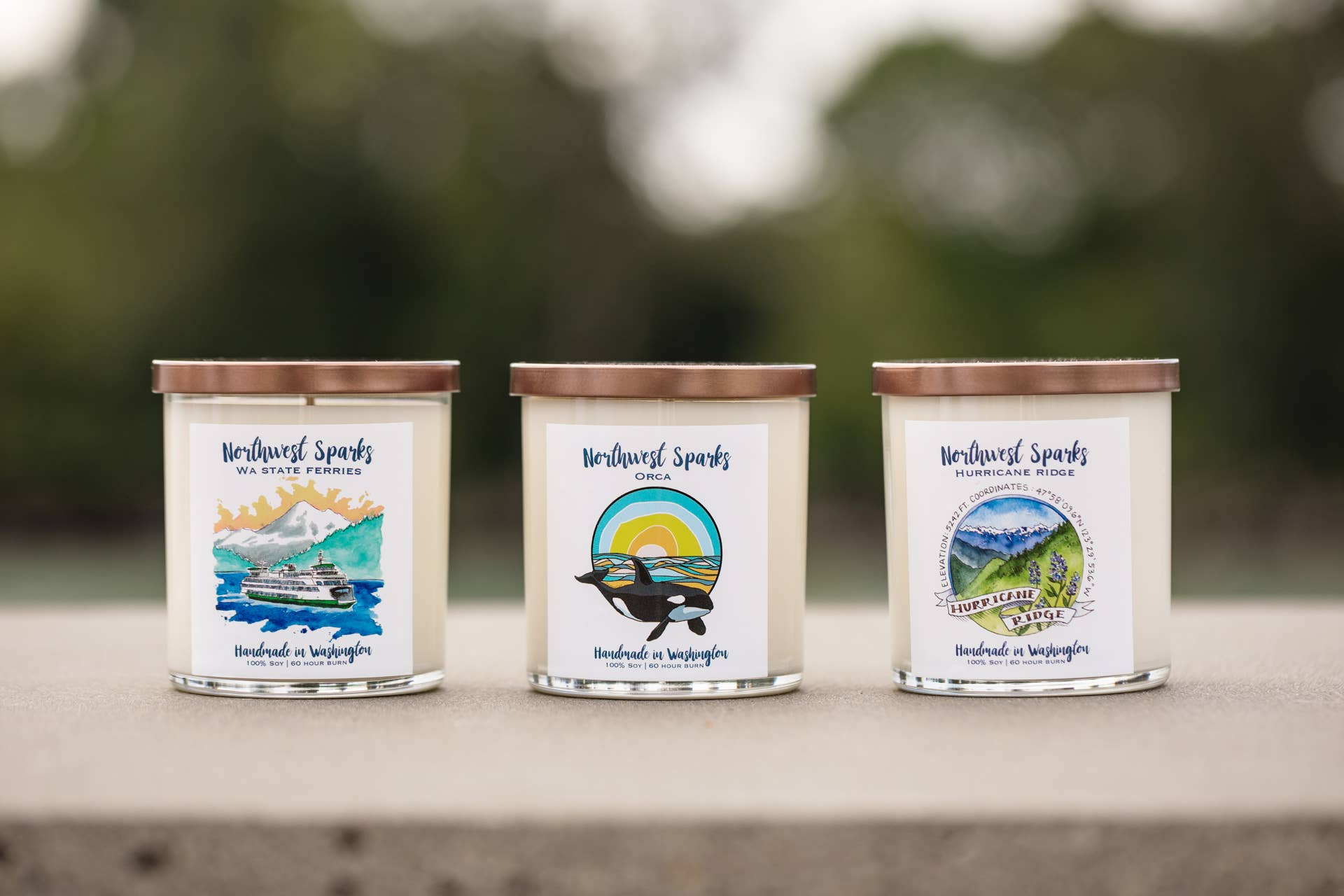 Northwest Sparks - Venta al por mayor Velas en tarros - Hurricane Ridge1