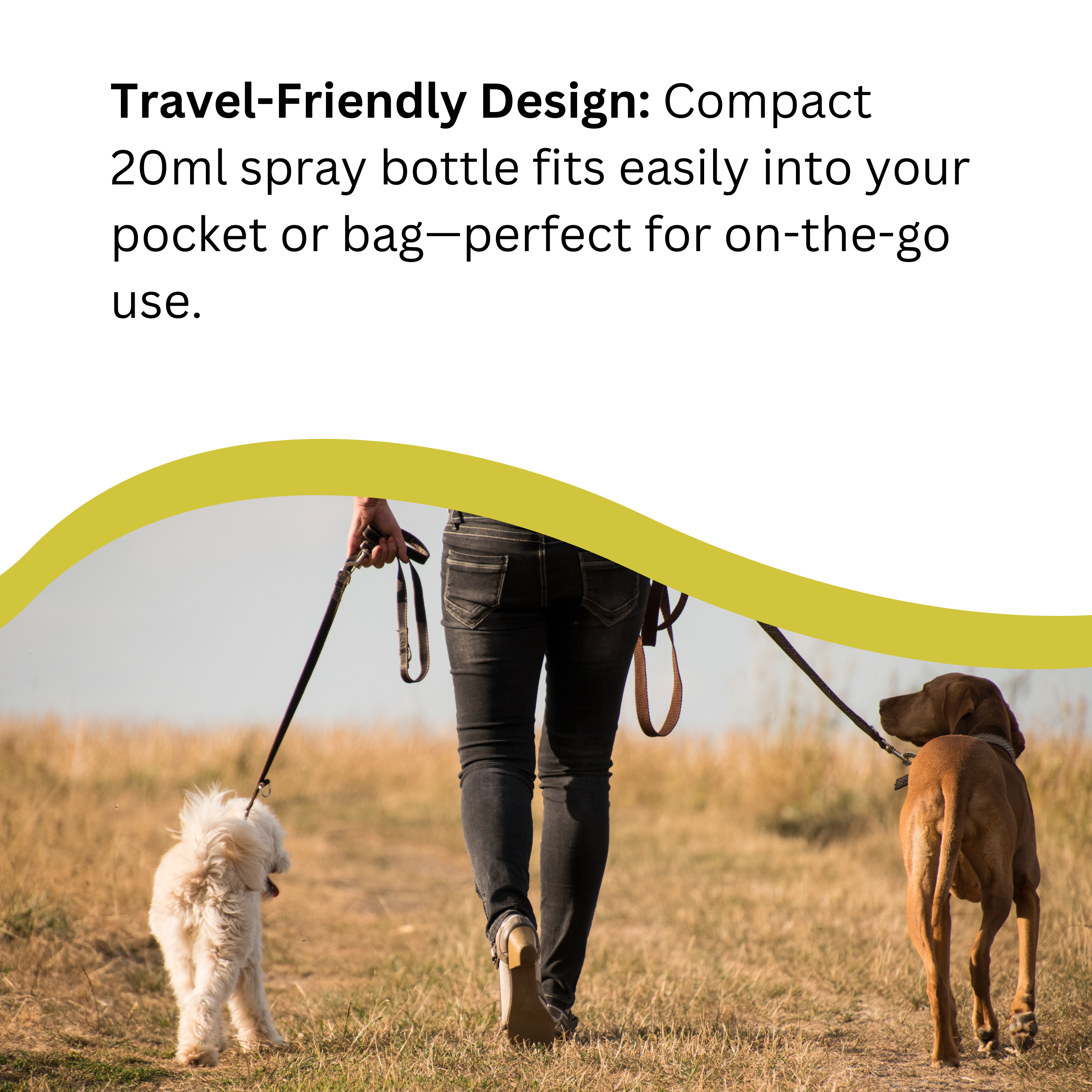 Natures Greatest Secret – wholesale Pet spray – Cat/dog – 20ppm Enhanced Colloidal Silver PetCare Pocket Spray 20ml3