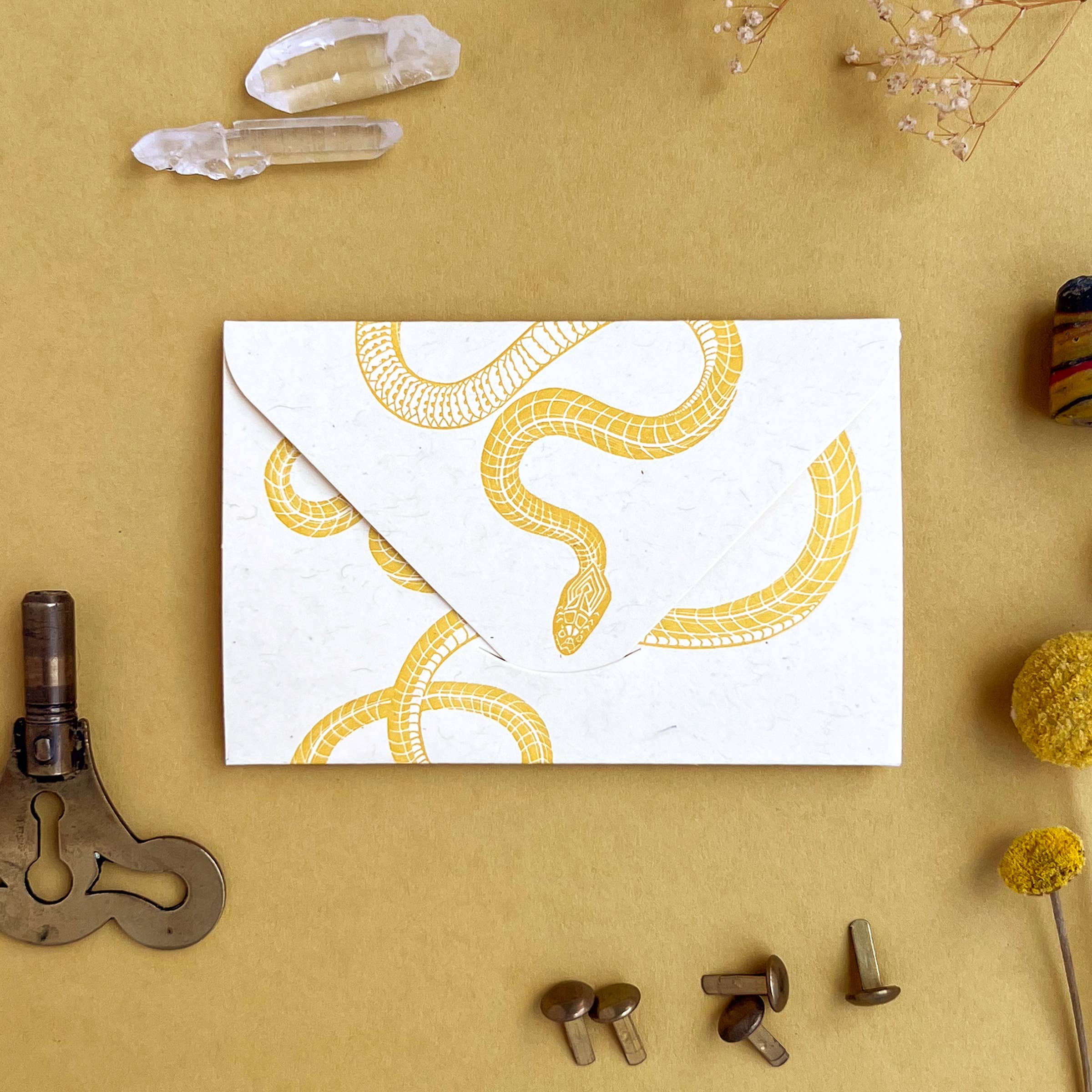Blackbird Letterpress - Wholesale Everyday Greeting Card - snake yellow gold mini card0
