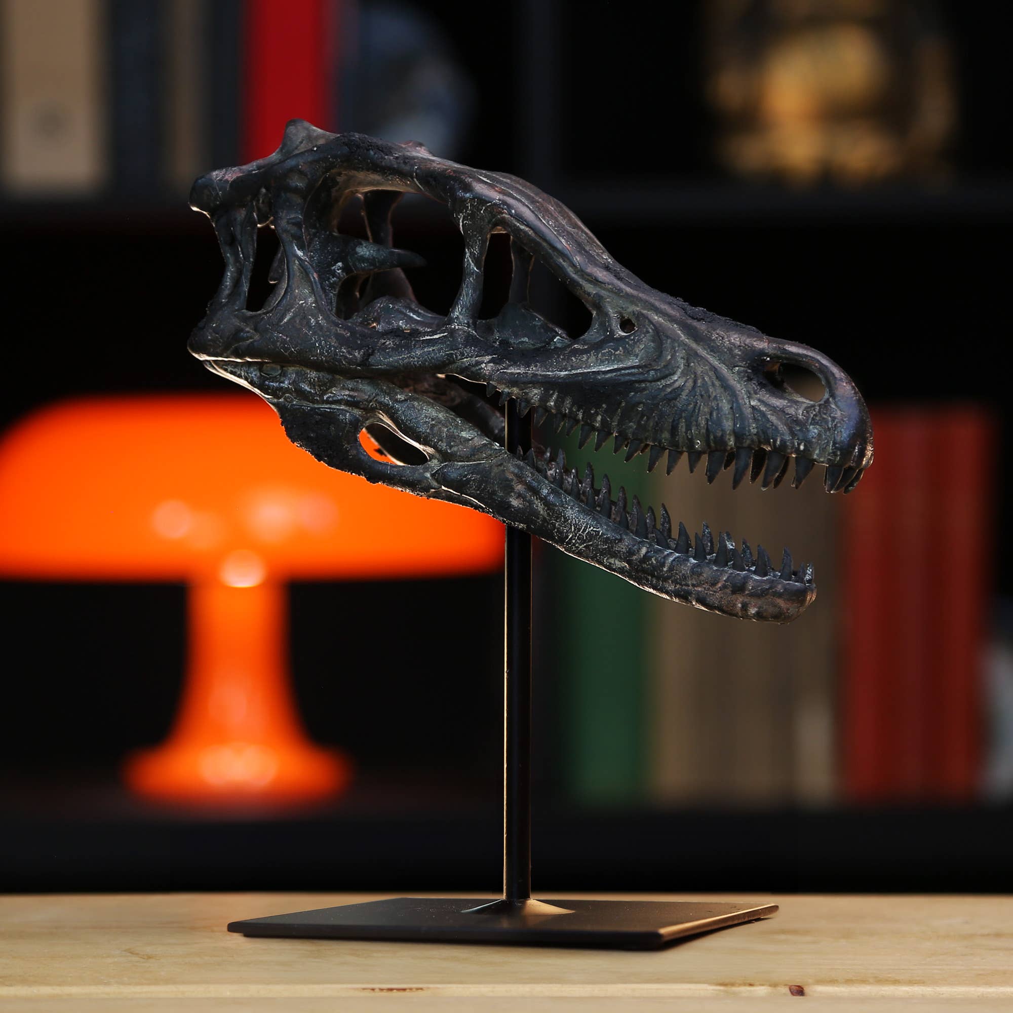 Curated Studio - Wholesale Decorative Tabletop Object - Velociraptor Dinosaur Skull Painted 3D Model Gifts for Him3