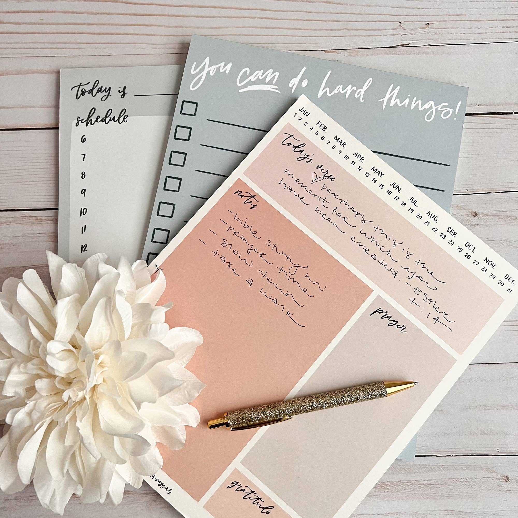 swaygirls - Vendita all'ingrosso Bloc notes - Blocco note per lo studio della Bibbia | Foglio di lavoro sul diario6