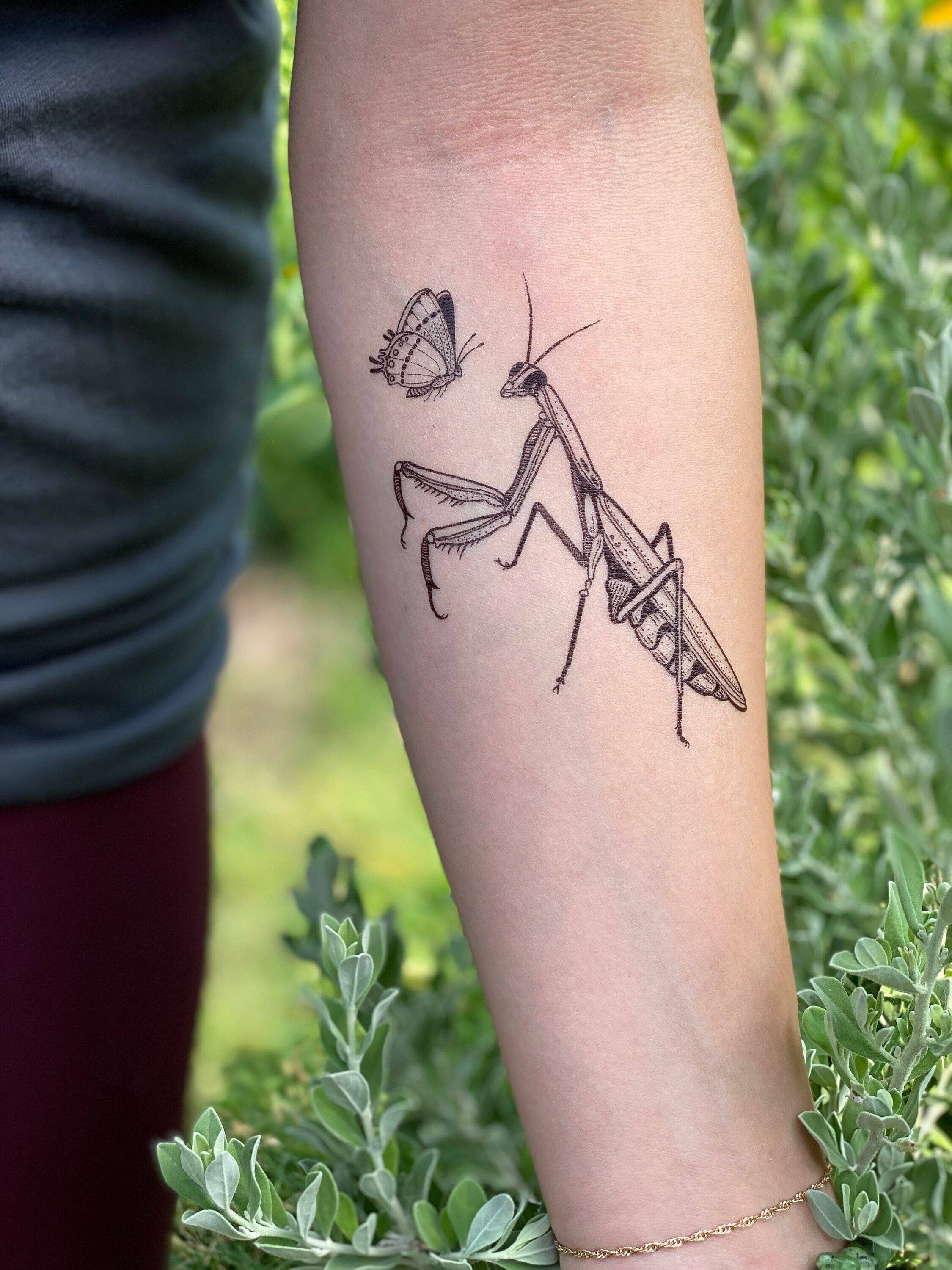 NatureTats - Wholesale Temporary Tattoo - Praying Mantis Temporary Tattoo