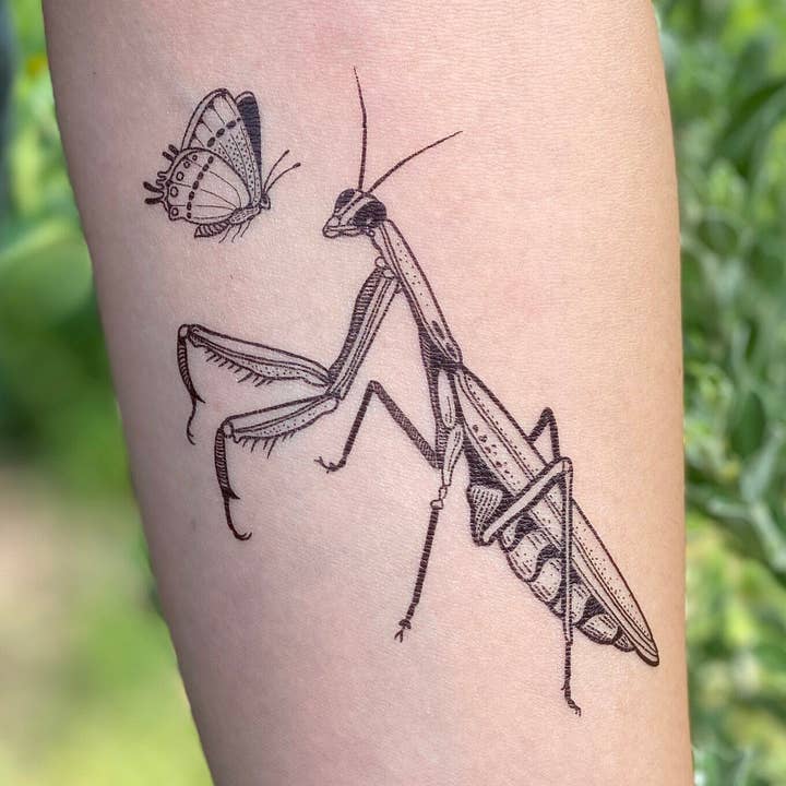 NatureTats - Wholesale Temporary Tattoo - Praying Mantis Temporary Tattoo0