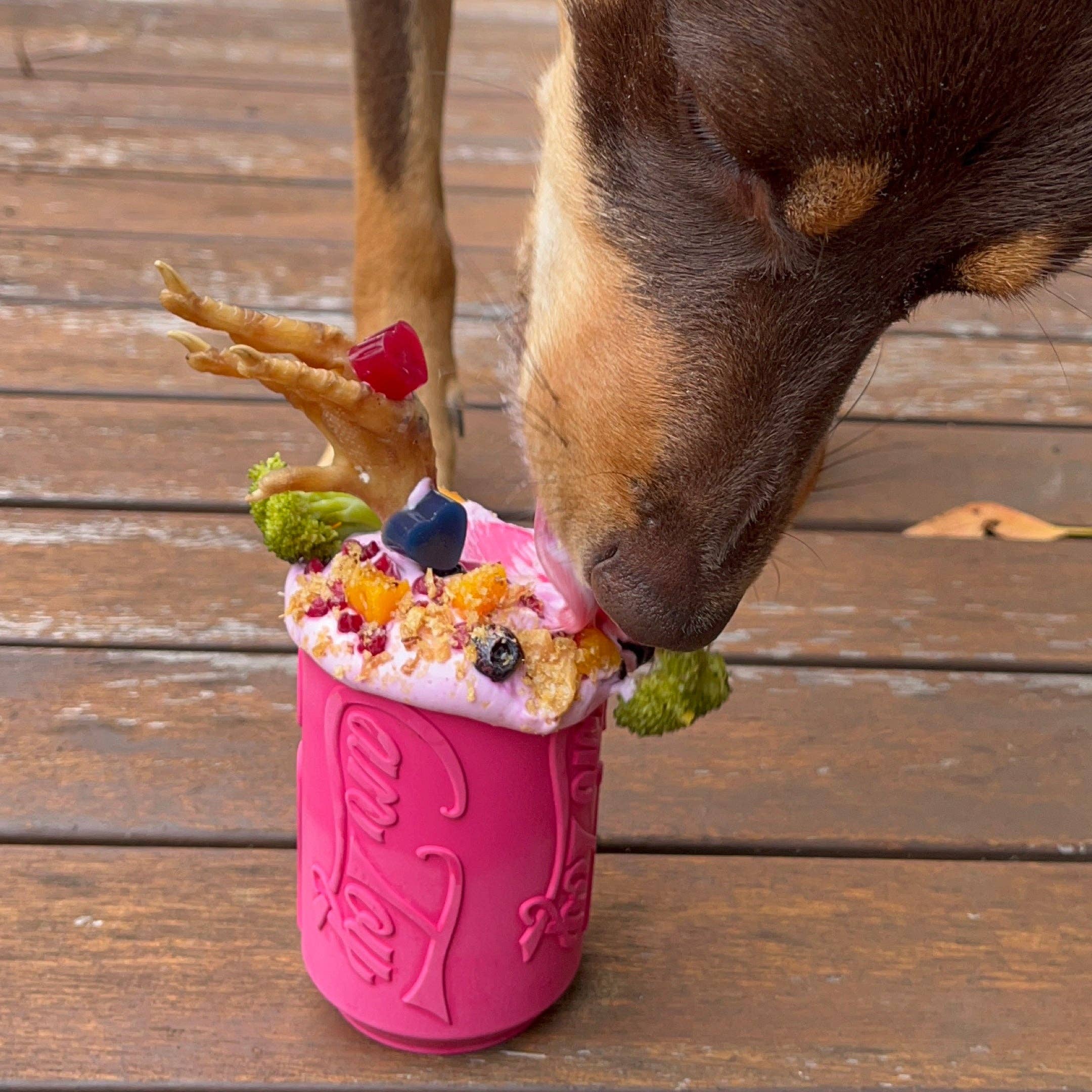 Rover Pet Products - Wholesale Pet chew toy – Dog - Puppy Can Toy - for soft gums and teething puppies.2