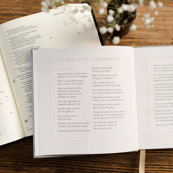 The Daily Grace Co - Wholesale Religion - Satisfied | A 60-Day Devotional1