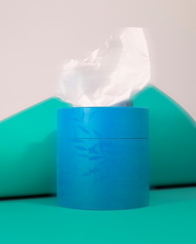 Renova – wholesale Tissue box – White Facial Tissues Renova Blue Box2