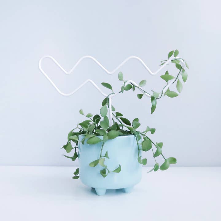 Wiggle - treliça de plantas de casa por atacado de Pistachio Playground