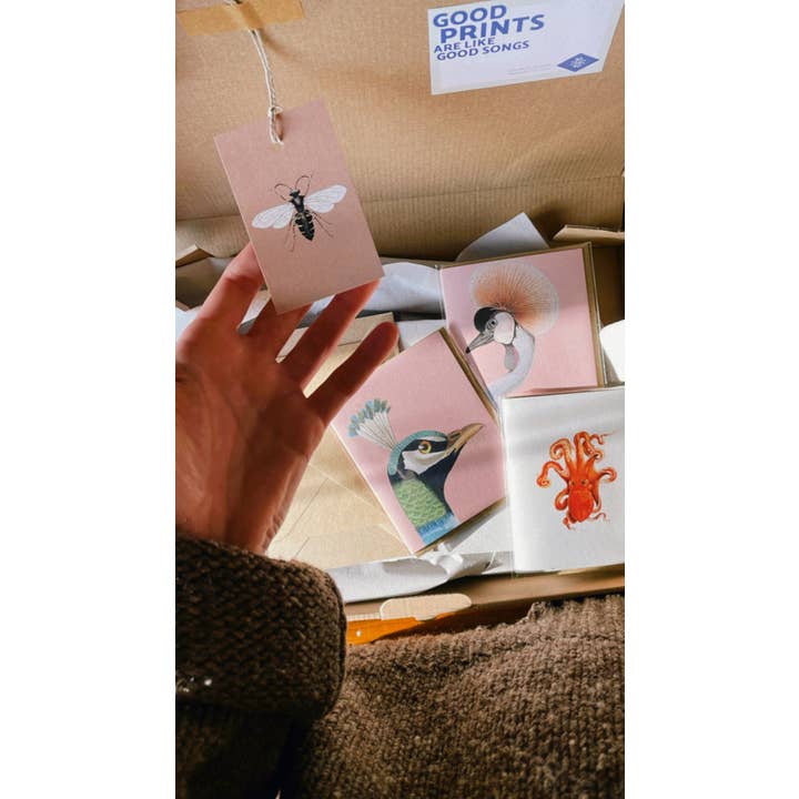 30x40 - Vendita all'ingrosso Biglietti di auguri generici - Mini biglietto Peace1