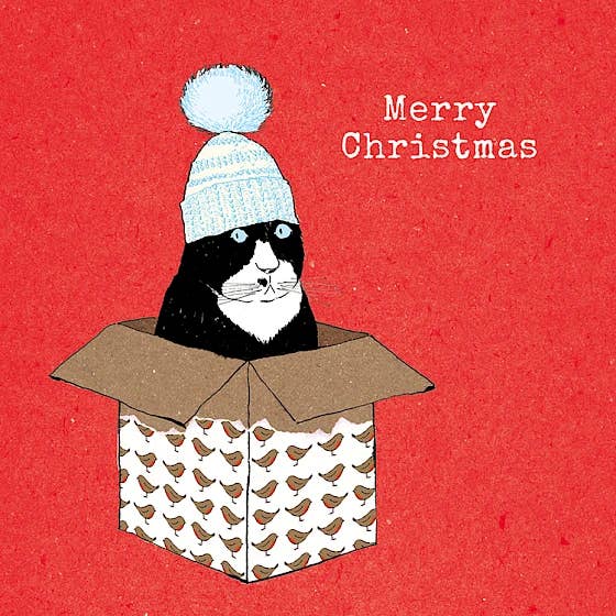 Winterstrick für den Großhandel von Paper Bird Publishing