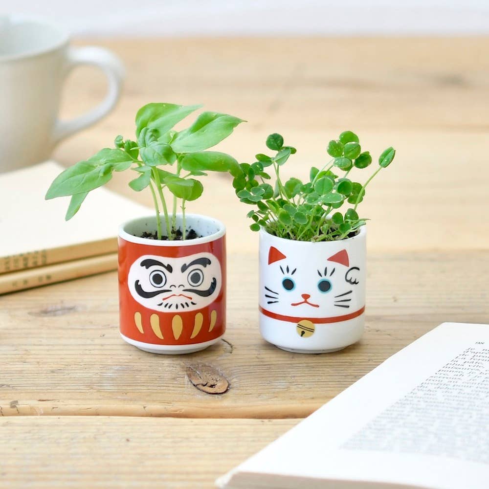 Noted - Wholesale Plant Pot - Lucky Plant - Beckoning Cat1
