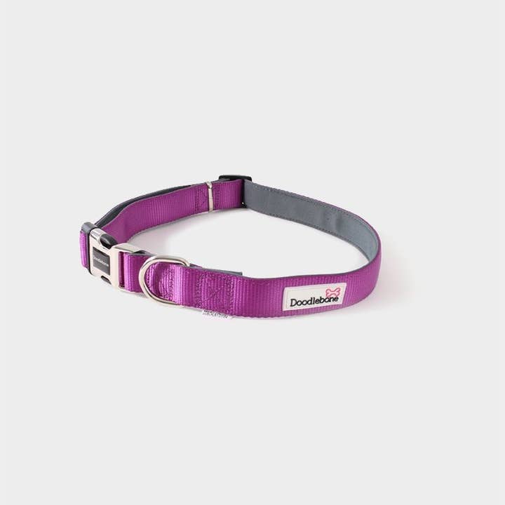 4cats Heimtierbedarf GmbH - Wholesale Pet Collar - Dog - Doodlebone® Bold Padded Collar - 4 colours, 5 sizes