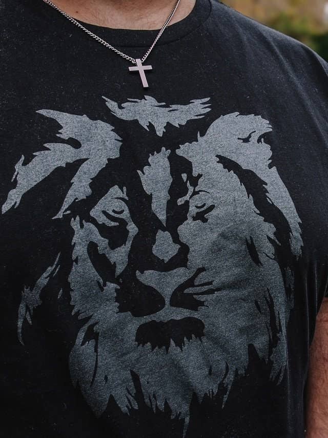 Honey Soul LLC – Großhandel T-Shirt mit Siebdruck – Herren – Löwenkopf Grafik T-Shirt