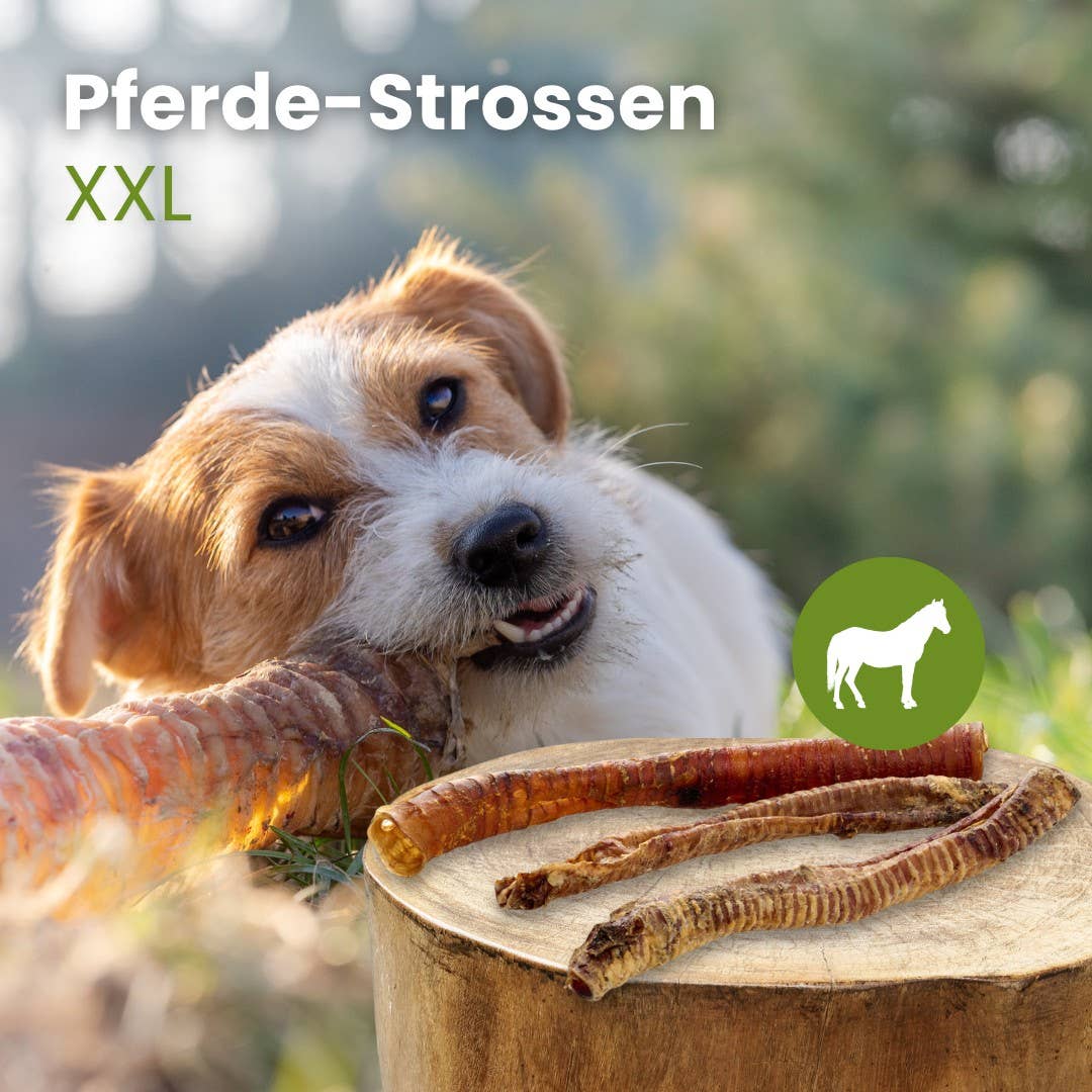 Kauartikel.com GmbH – Großhandel Haustierkauknochen & Rohhaut – Hund – Pferde-Strossen XXL1