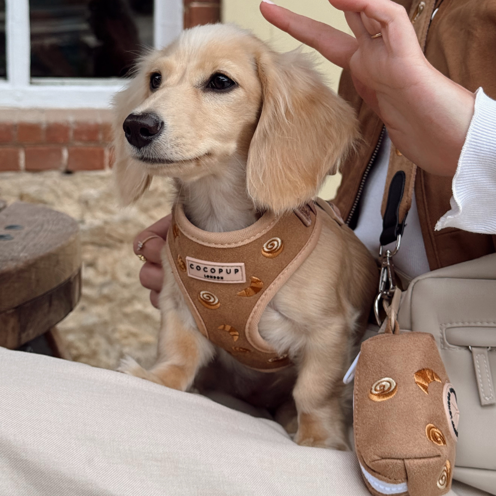 Cocopup London - Wholesale Pet Harness - Dog - Pawtisserie Adjustable Neck HARNESS10