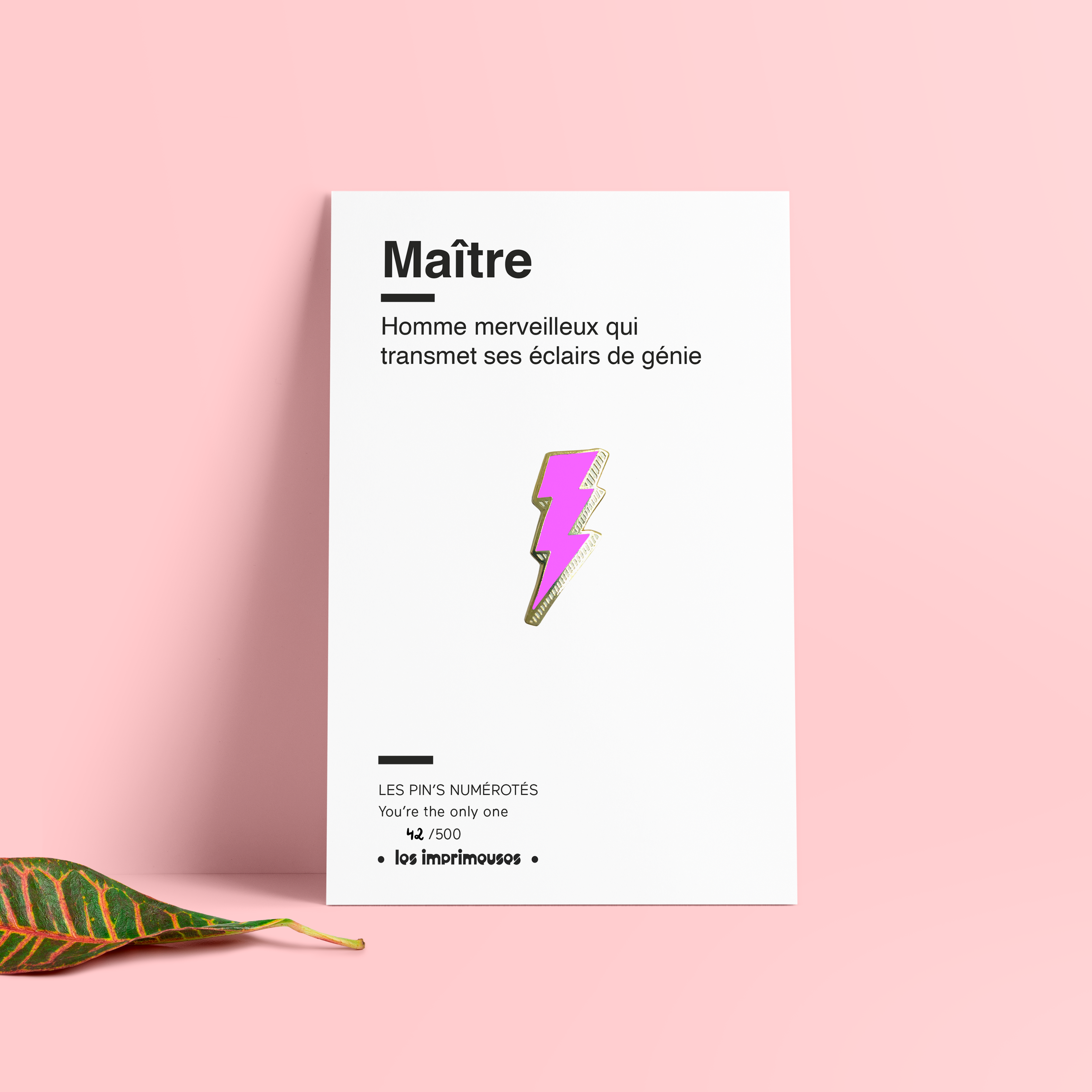 LES IMPRIMEUSES – Engroshandel Broche – Pin's - Éclair - Mester/Mesterinde - Skoleårets afslutning5