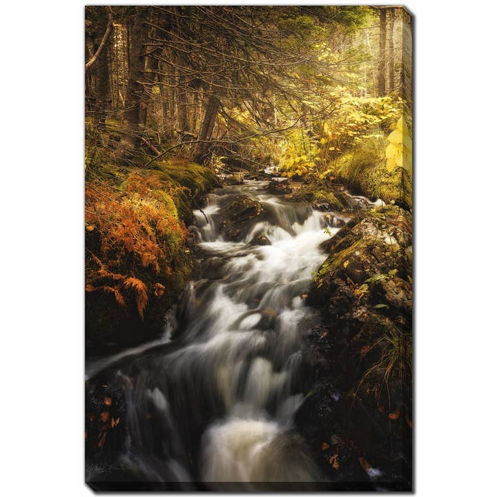 Brown Ferns 16x20 Printed Canvas Wall Art for wholesale by Streamline Art