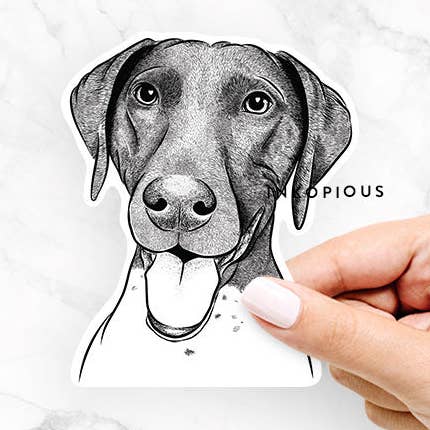 Inkopious - Wholesale Sticker - Remi the German Shorthaired Pointer - Decal Sticker0