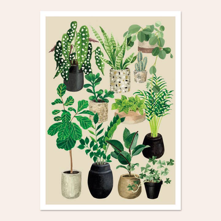 Plant Love Poster - Chalk for wholesale by MÉLANIE VOITURIEZ