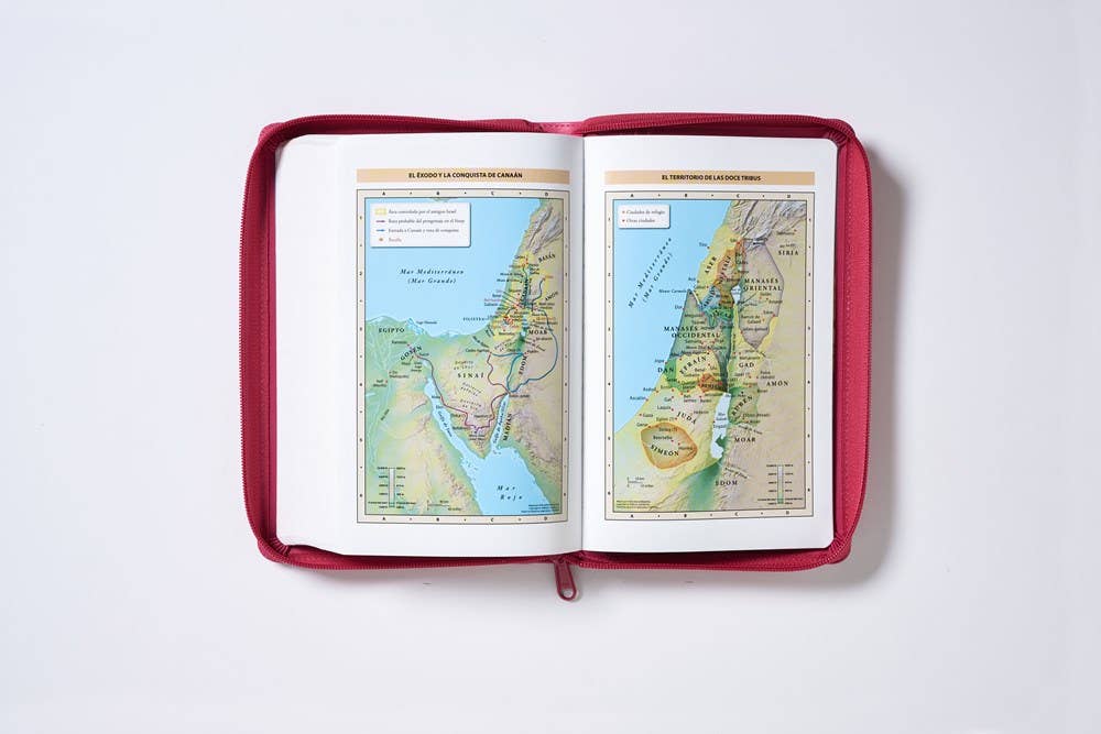 HarperCollins Christian Publishing - Wholesale Religion - RVR60, Santa Biblia, Tierra Santa, Ultrafina, Letra grande11