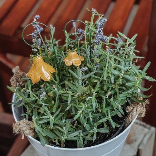 NaturoTheke - Vendita all'ingrosso Decorazione - Campanula + bastoncino5