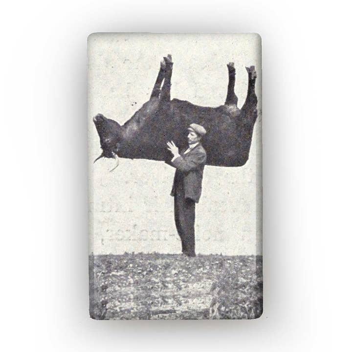 Man with OX Funky Black and White USA Kitchen Flat Magnet for wholesale by Lucy Lu Designs