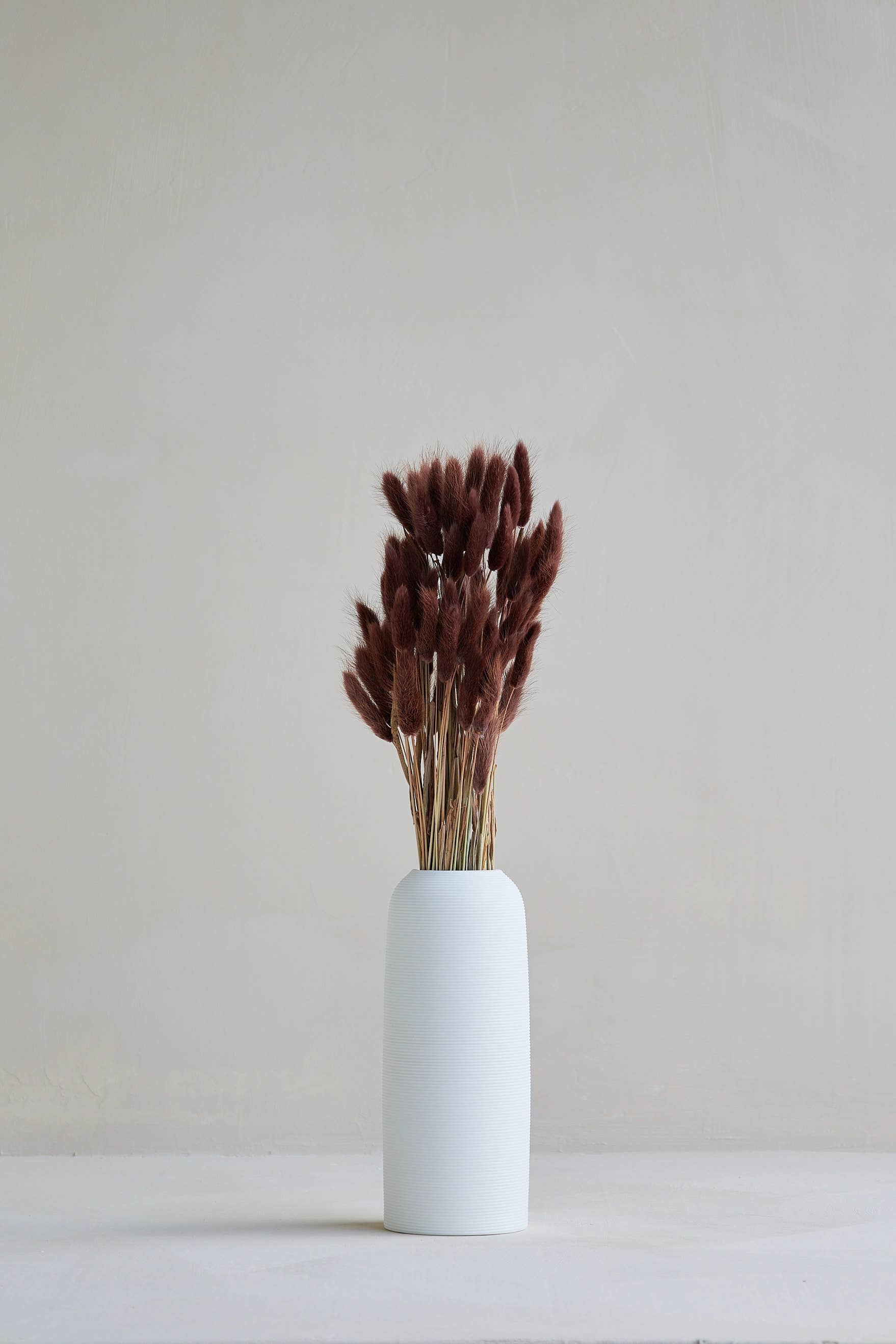 For Love Of Pampas - Wholesale Dried/Pressed Flowers - Bunny Tails in Old Mauve1