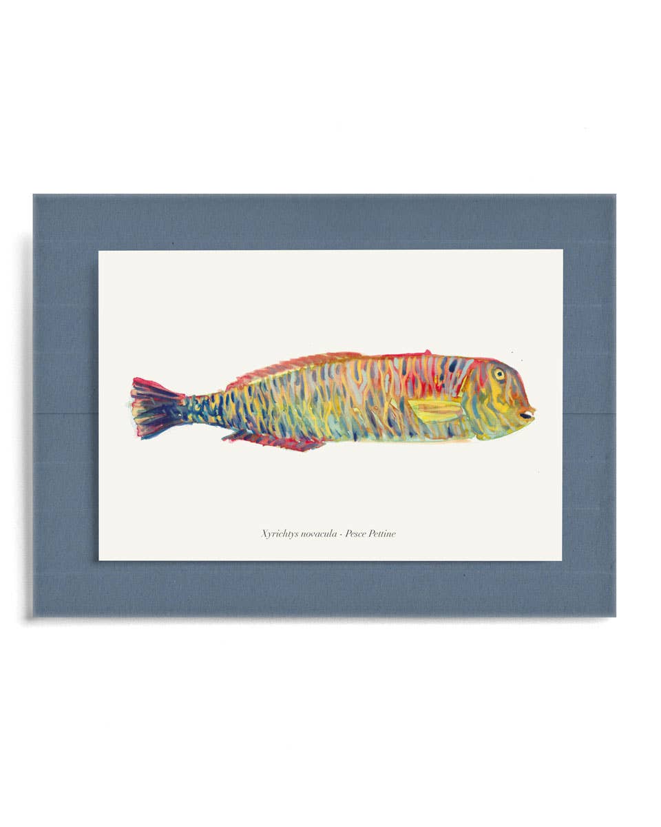 Cirnauti - Wholesale Picture Frame - Photo Frame Comb1