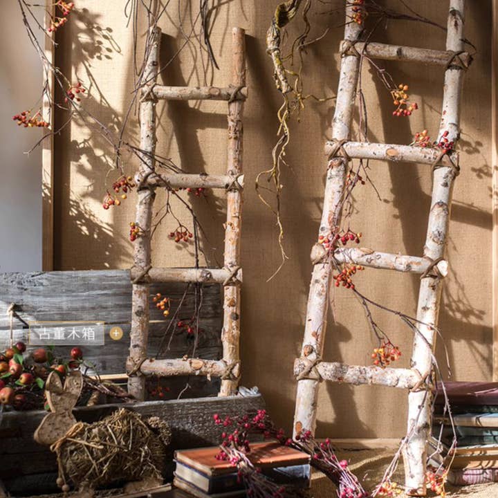 Rustic Reach - Wholesale Free Standing Shelf - White Birch Wood Decorative Ladder