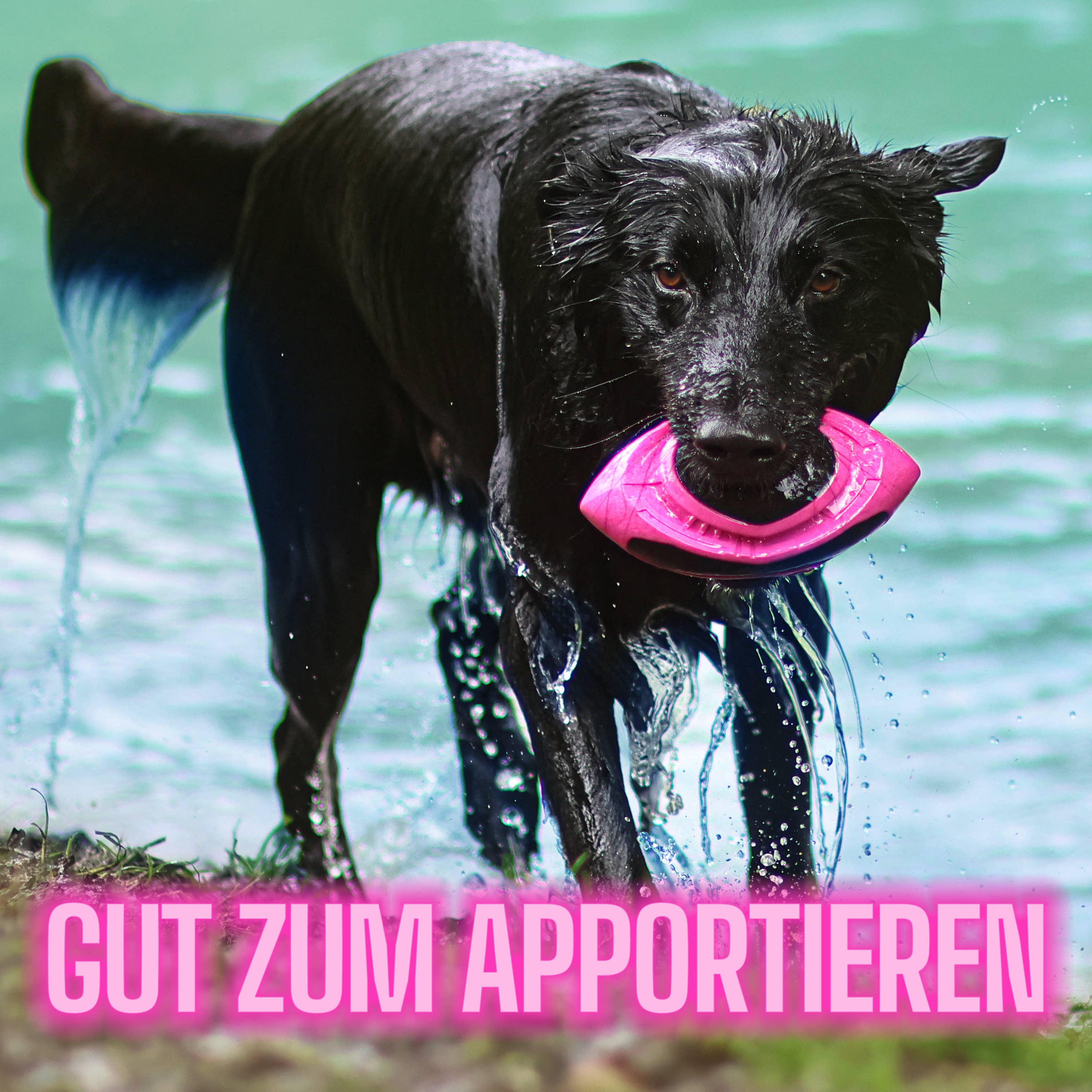 ne&no - Wholesale Pet Fetch Ball - Dog - ne&no® Dog Football – floats – neon pink – Fetch2