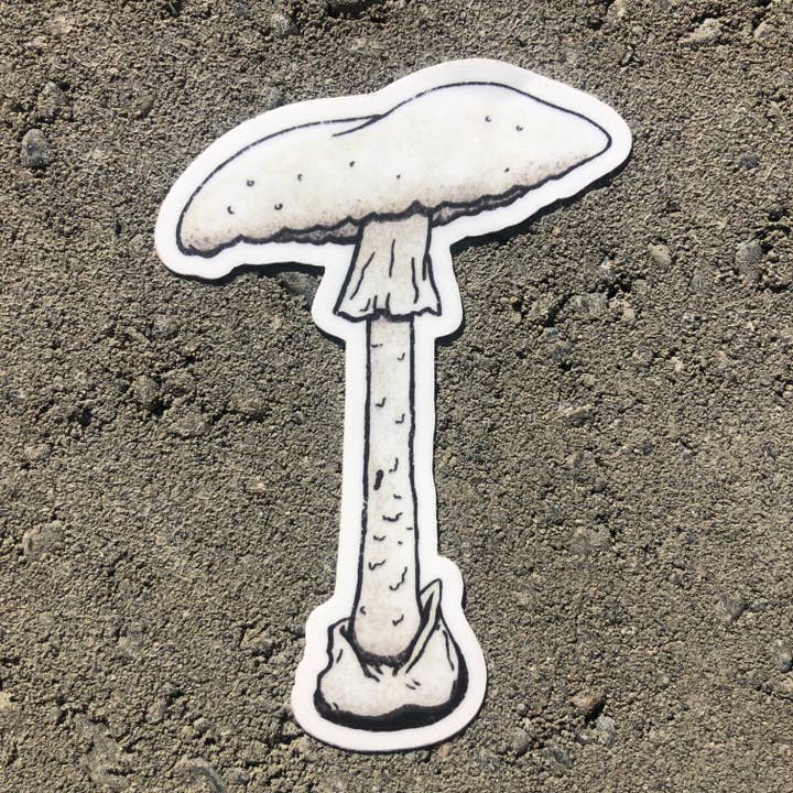 The Fungi Arcana - Vente Autocollant - Destroying Angel Mushroom - Autocollant en vinyle2