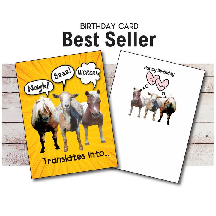 Horse Greeting Birthday Card / Neigh, Baa, Nicker / Funny for wholesale by Horse Hollow Press