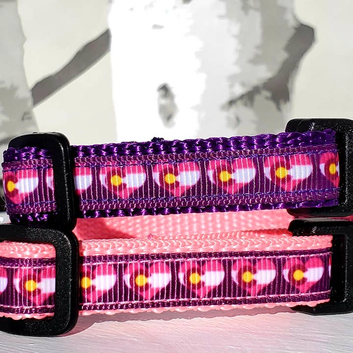 Rocky Mountain Hound - Wholesale Pet Collar - Dog - 1/2" Pink or Purple Colorado Dog Collar, Leash, or Harness