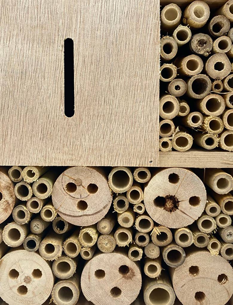 Éco-conseils – wholesale Fågelholk – Insektsboende för trädgårdens biologiska mångfald2