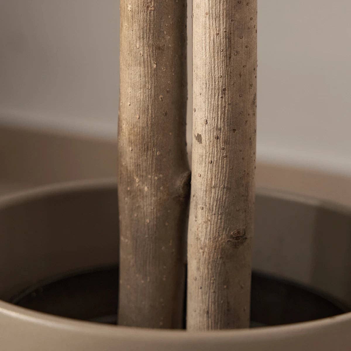 Maia Shop: No Duties for the US - Wholesale Artificial Plant - 6' Artificial Olive Tree3