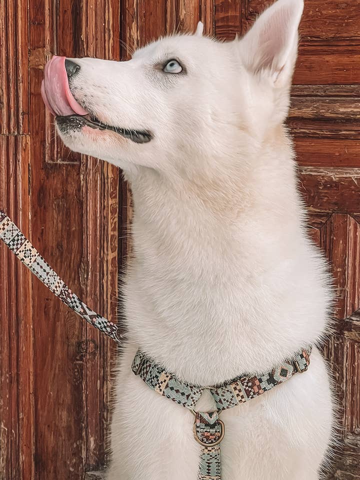 Harnais Navajo Turquoise pour la vente par Grey Ghost
