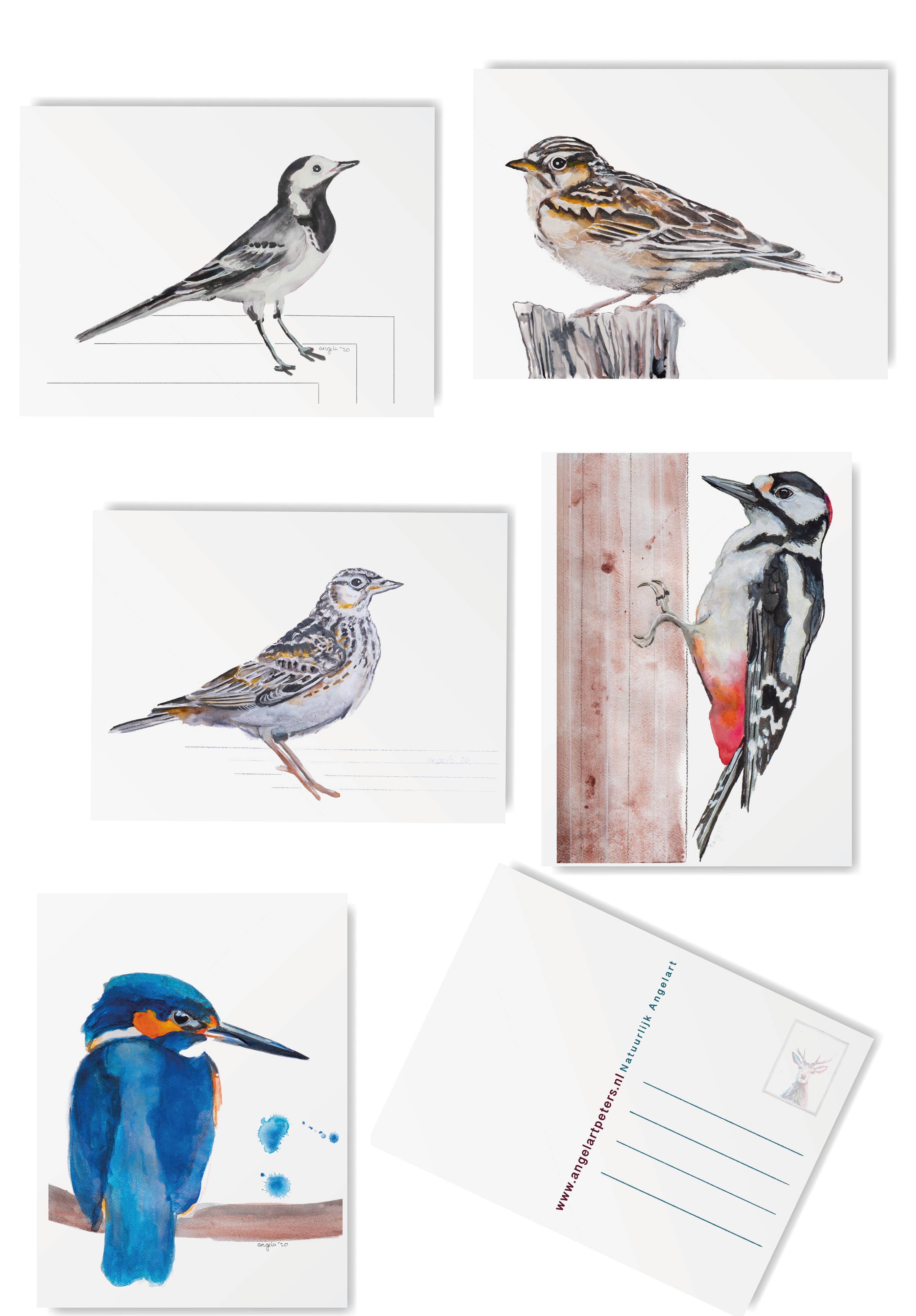 Studio Angelart - Wholesale Stationery/Notecard Set - Native Bird greeting cards set - 15 pieces3