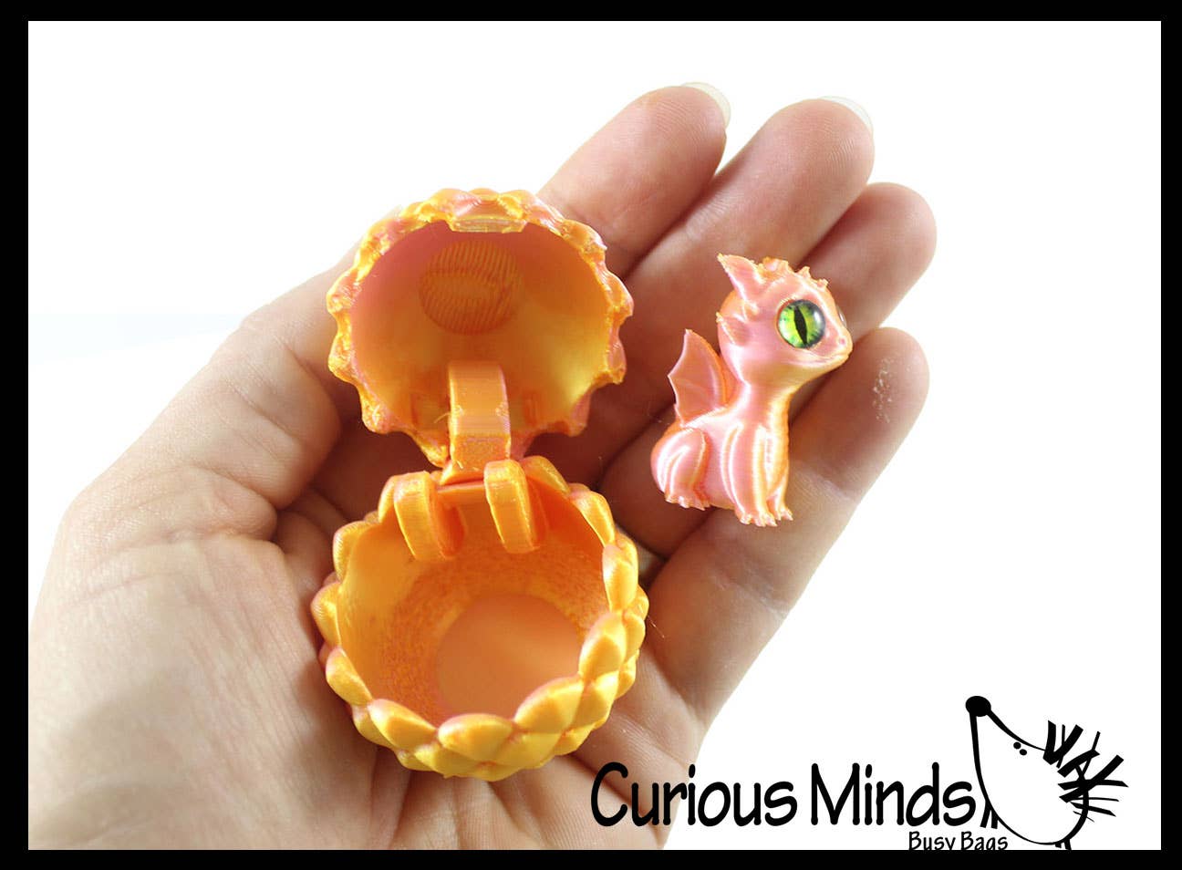 Curious Minds Toys - Wholesale Fidget Toy - Kids - 1 3D Printed Baby Dragon in Egg Fidget Toy - Unique Sensory 5