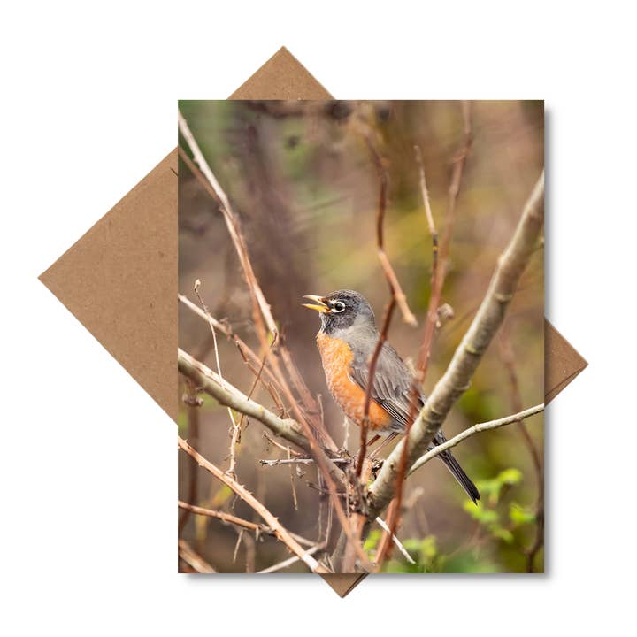 Carte de vœux photo nature "Mélodies" pour la vente par Andrea Morris Art