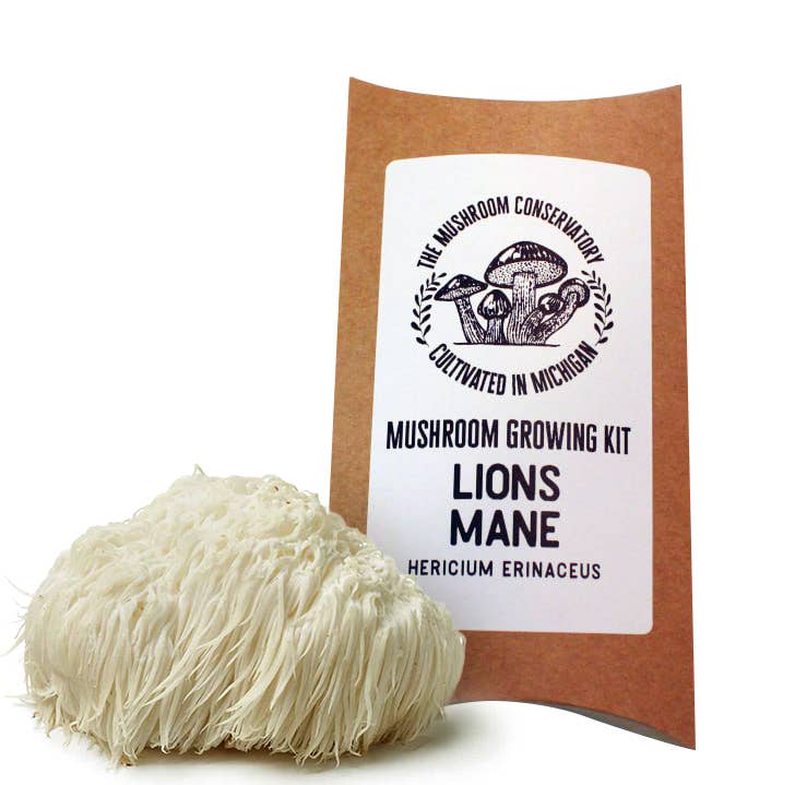The Mushroom Conservatory LLC - Wholesale Plant Seeds - Lions Mane Gourmet Mushroom Growing Kit!