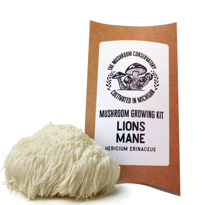 The Mushroom Conservatory LLC - Wholesale Plant Seeds - Lions Mane Gourmet Mushroom Growing Kit!