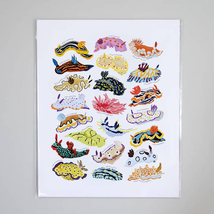 Beehive 95 Designs - Wholesale Art Print - Types of Sea Slugs - Educational Nature Art Print3