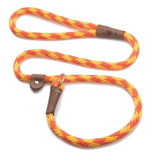 Mendota Pet - Vente Laisse – chien - Laisse coulissante 1,3 cm x 1,83 m - Mendota Pet32