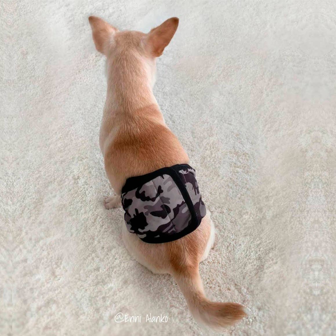 FINNERO - Wholesale Pet Belly Band - Dog - FINNERO JUSTINCASE Male Dog Wrap, 4 Colors, Washable Diaper9