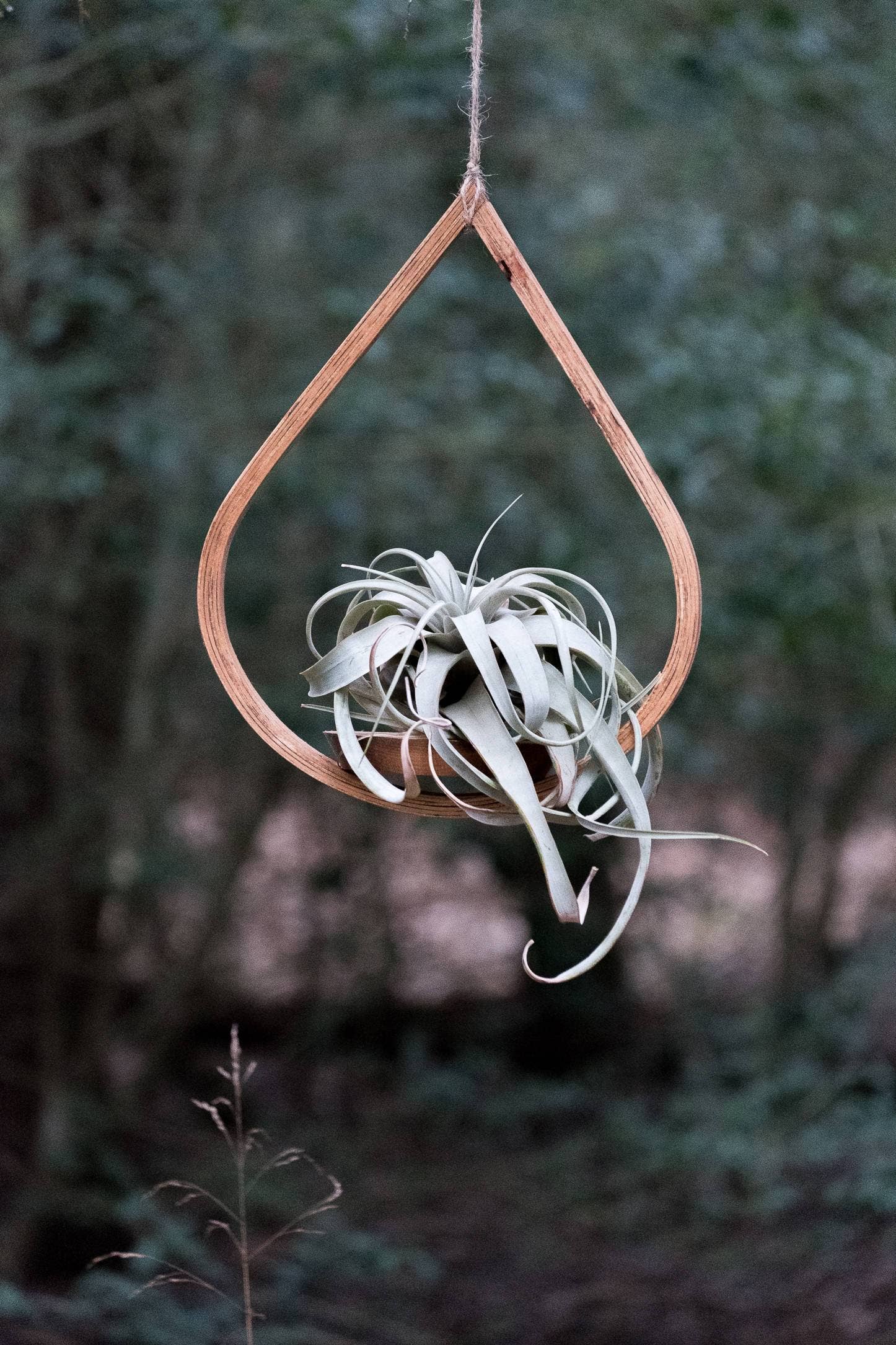 Horsemen Co. – wholesale Hanging planter – Single Tear Drop Hanging Planter7