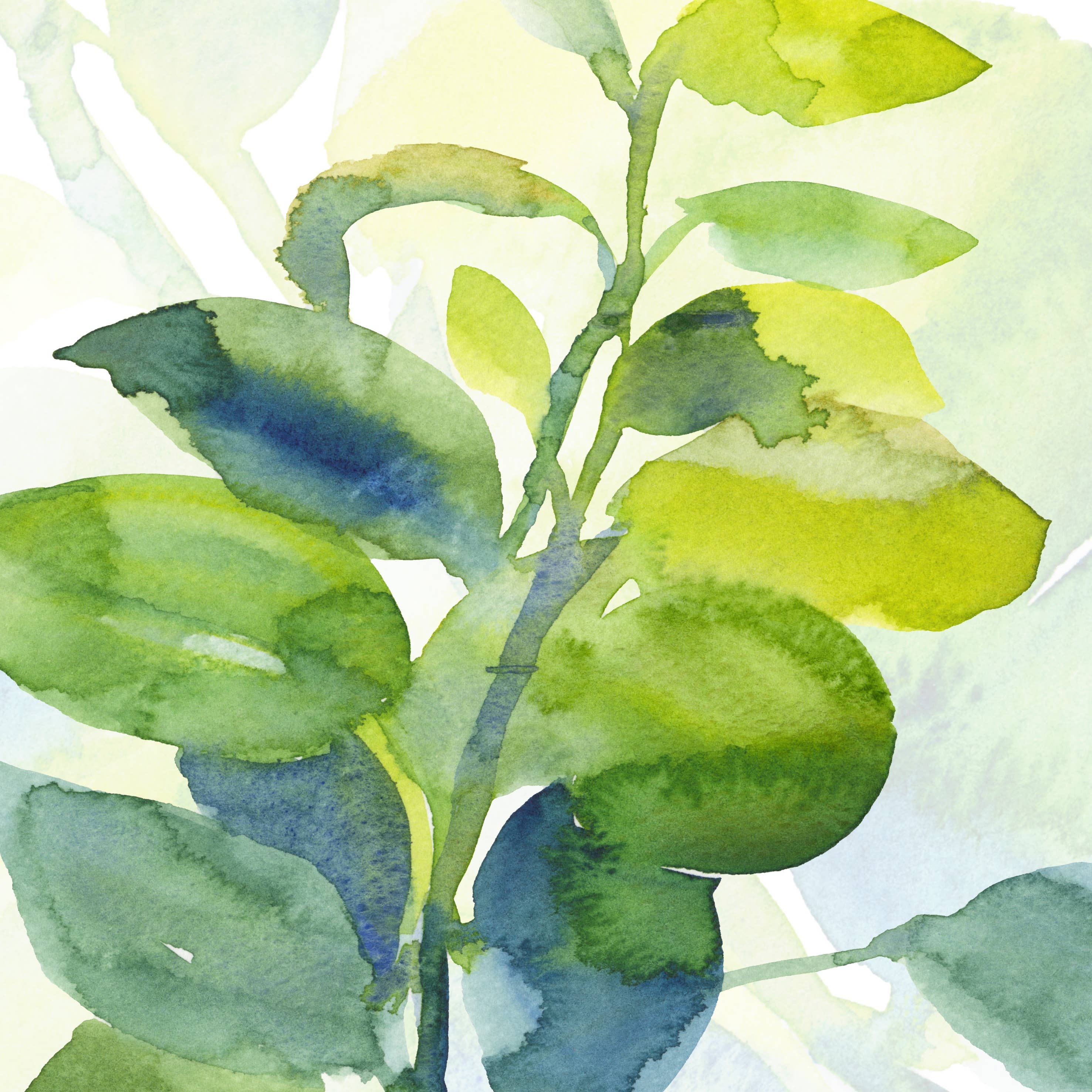 Diana Fegredo Studio - Wholesale Everyday Greeting Card - Still Green Greetings Card 1